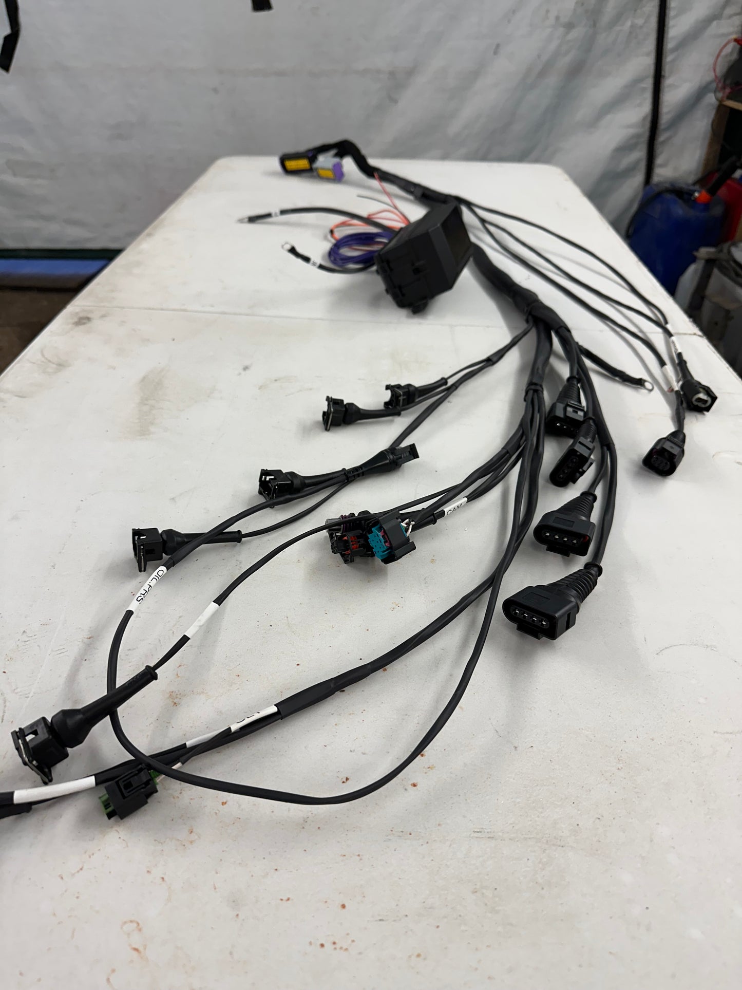 M111 Complete EFI Conversion - EMU BLACK